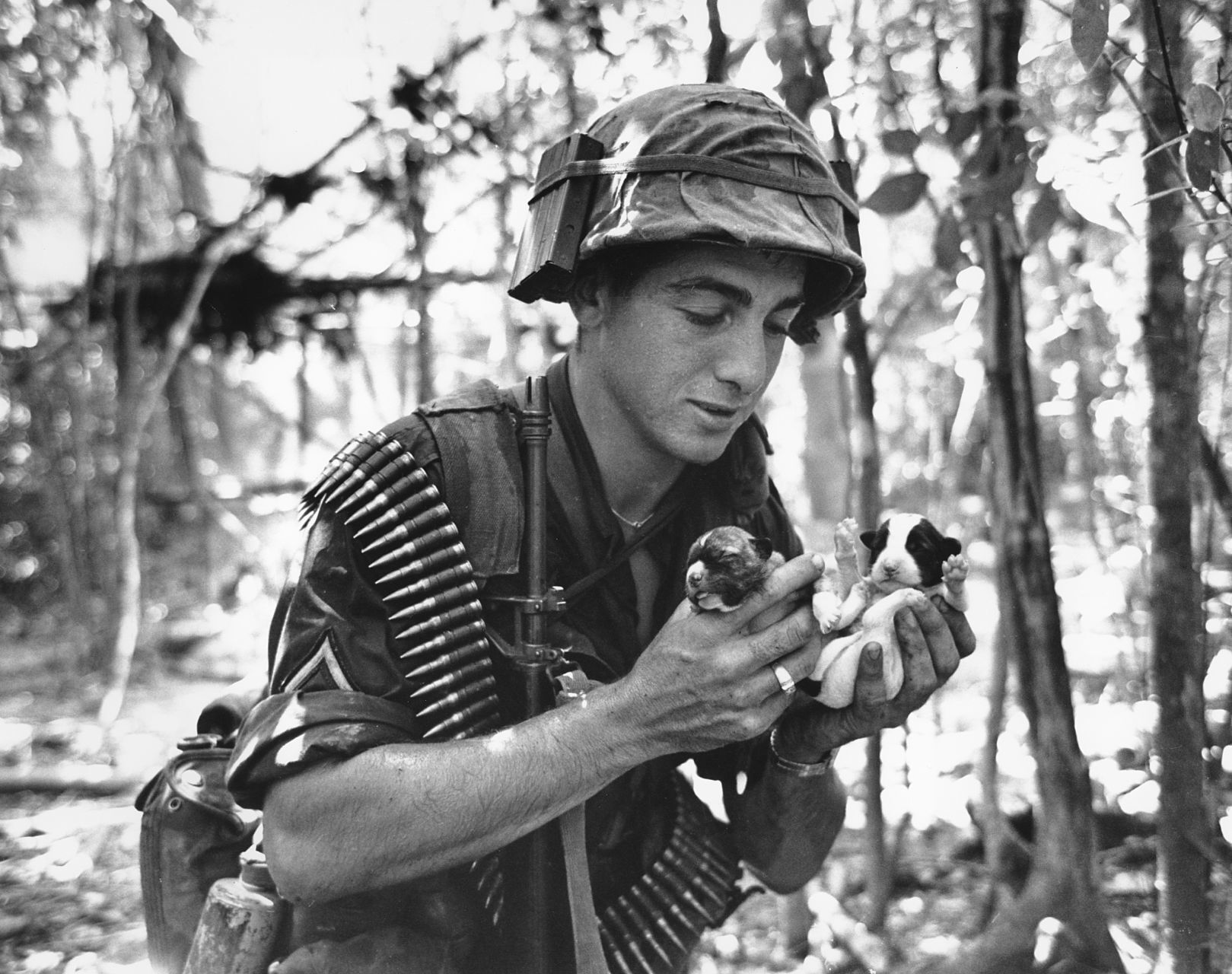1965: VIETNAM WAR